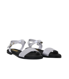 CAPRI - 3